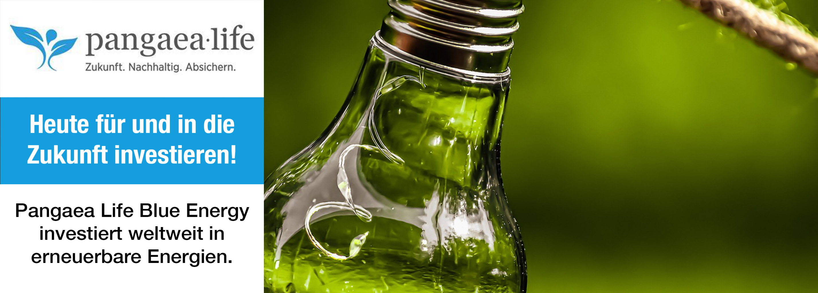 grüne Flasche, Natur