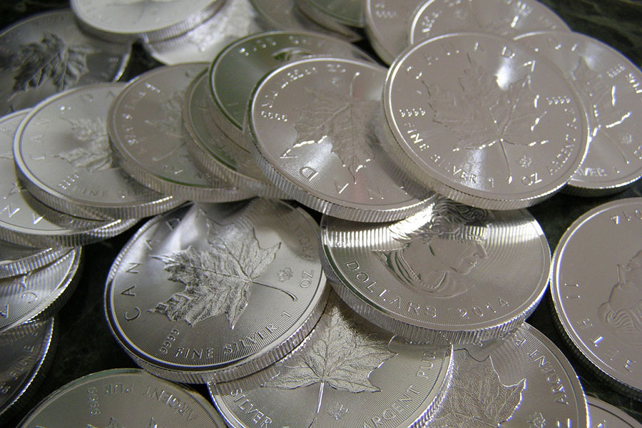 Eine große Sammlung von kanadischen Silbermünzen (Silver Maple Leaf).
